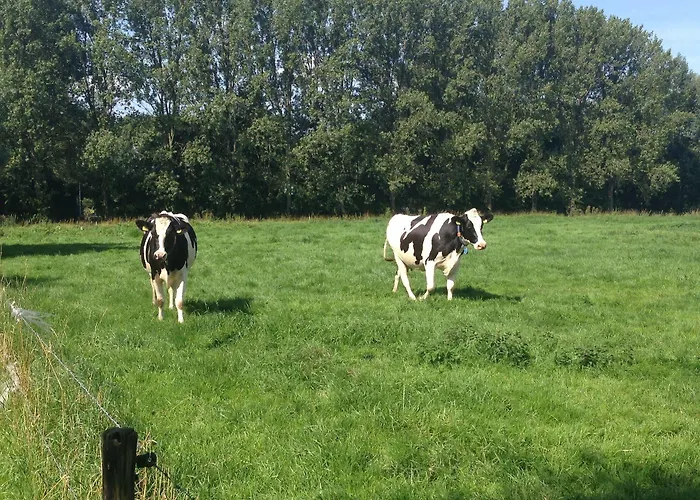 Port Of Hotel Moerdijk