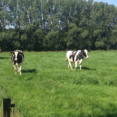 Port Of ホテル ムールデイク