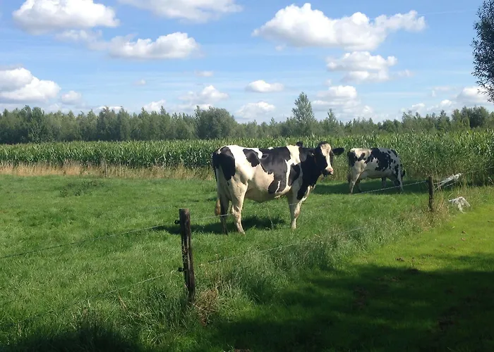 Port Of 3* مورديجيك